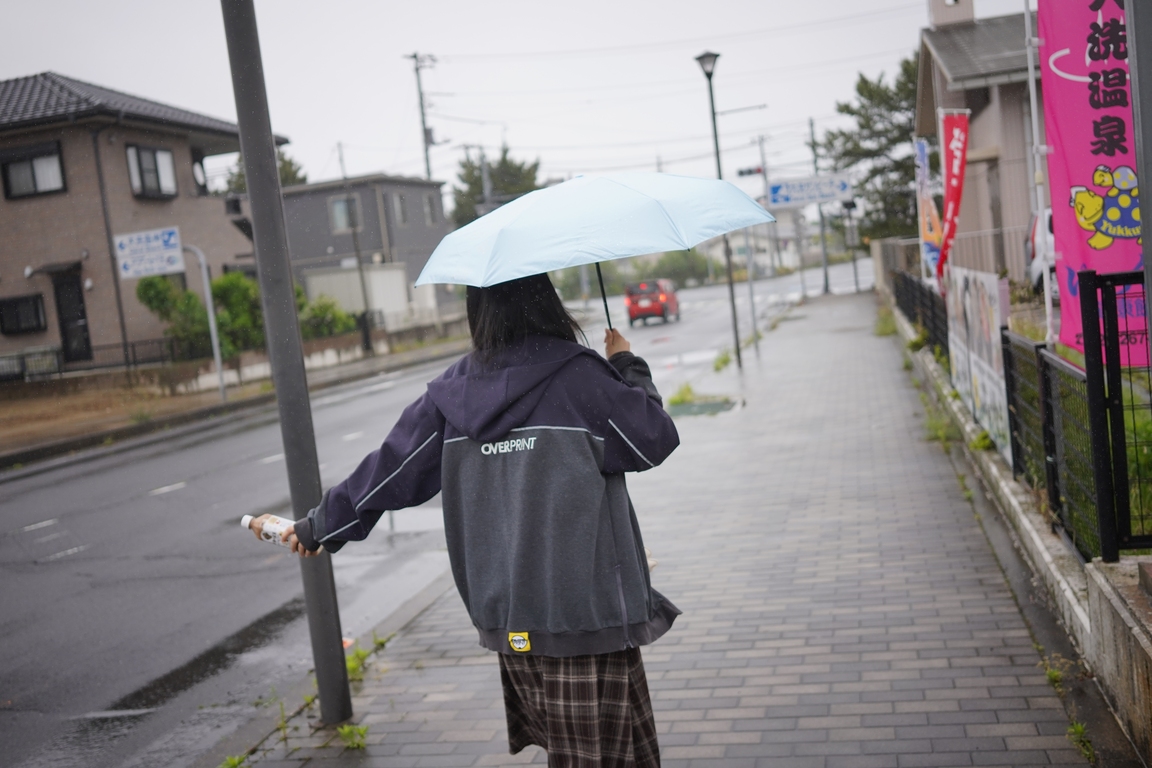 投稿作品 雨後散策